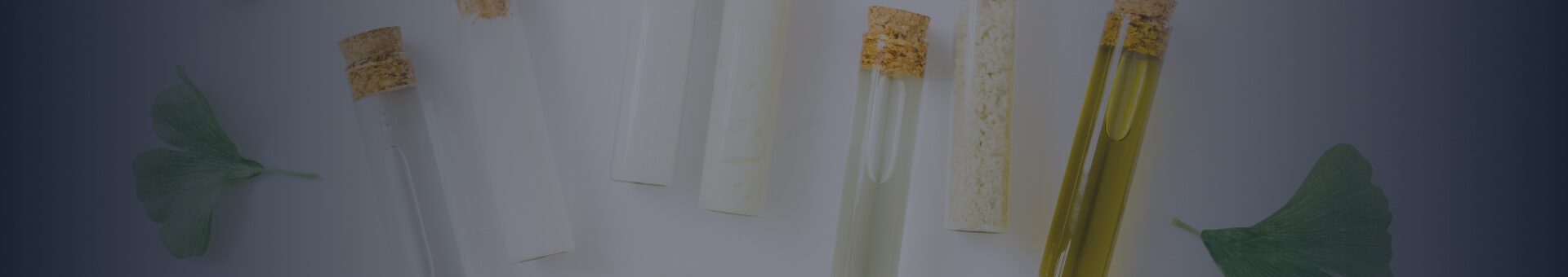 Ginkgo Biloba Extract